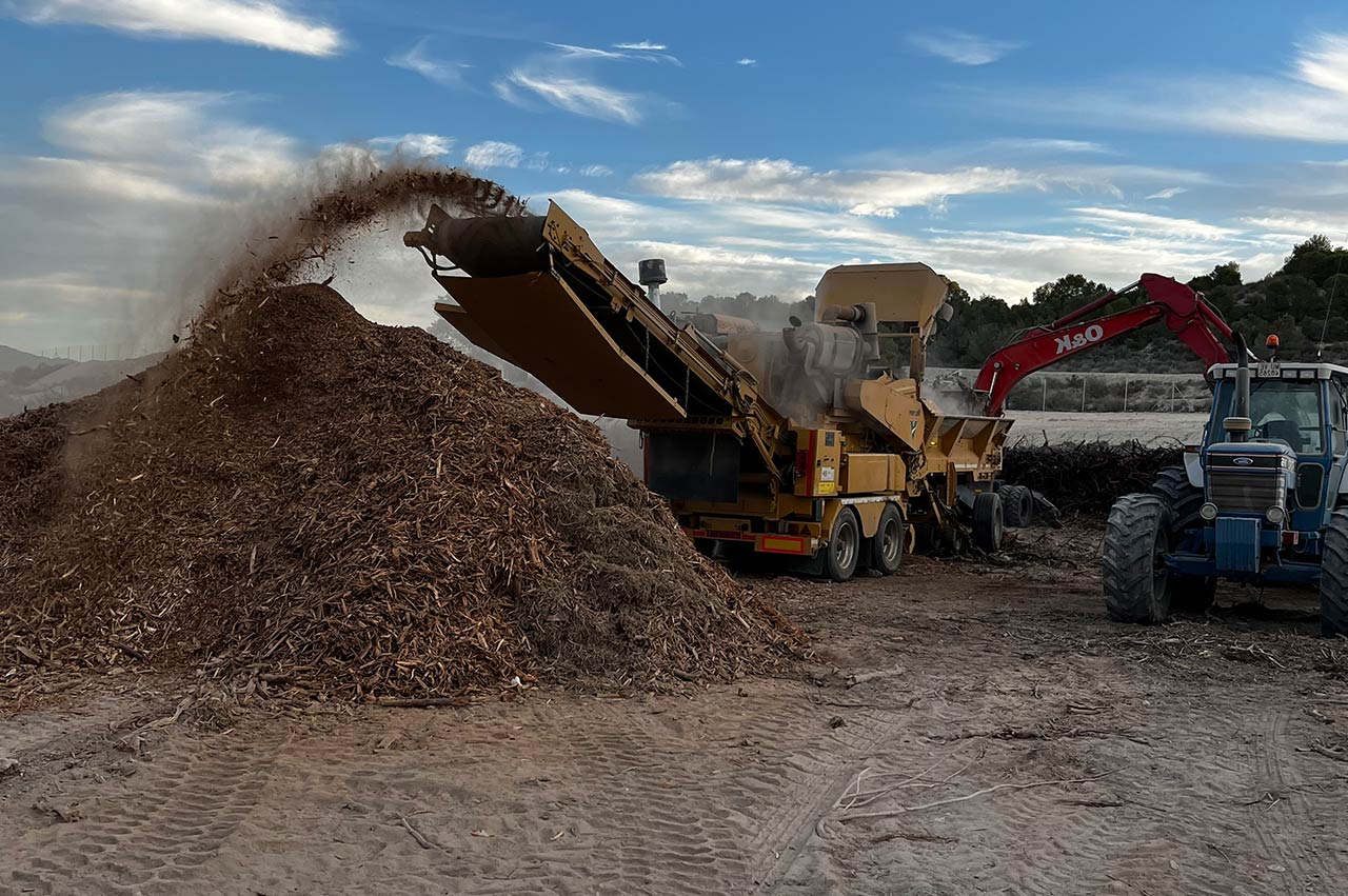 actividad ecovaloriza