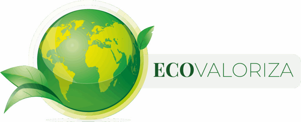 Logo ecovaloriza