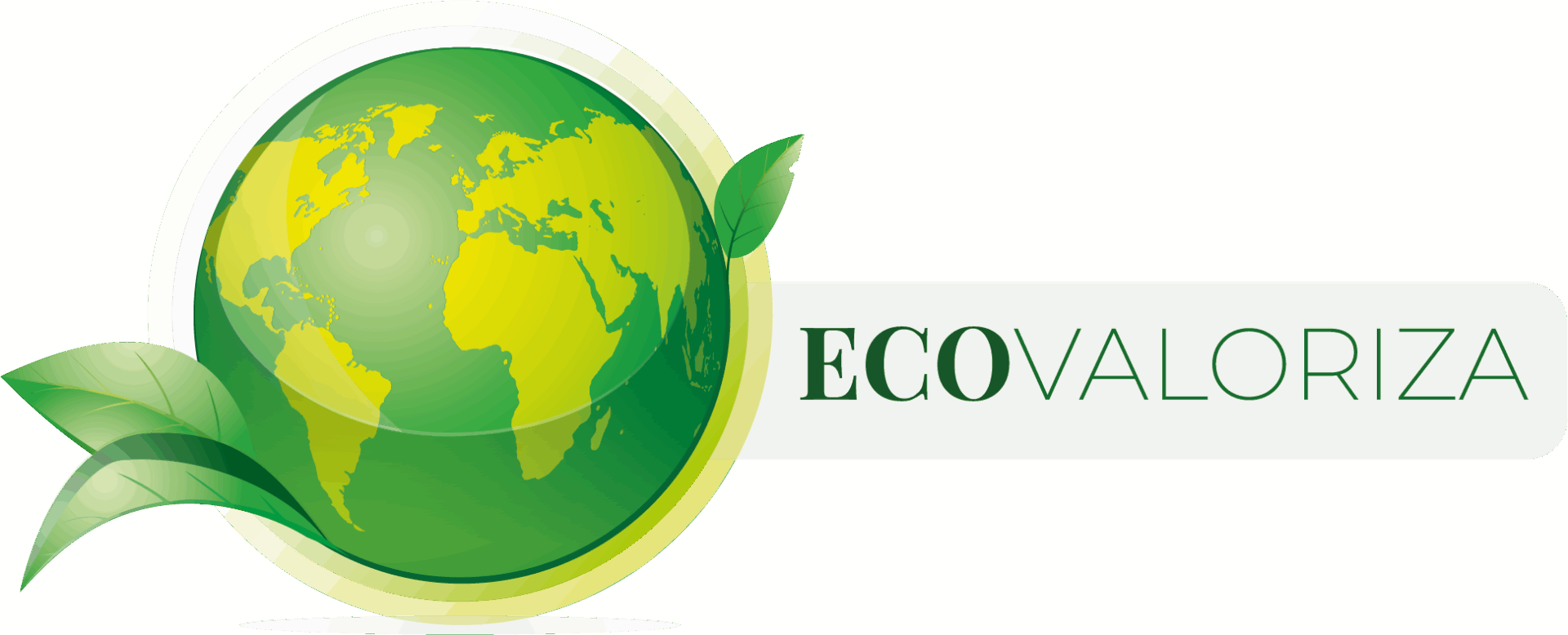 Logo ecovaloriza